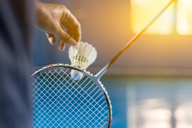 terrain badminton